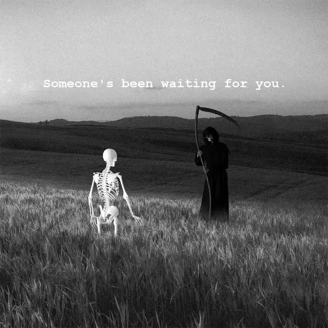 large picture of the cover