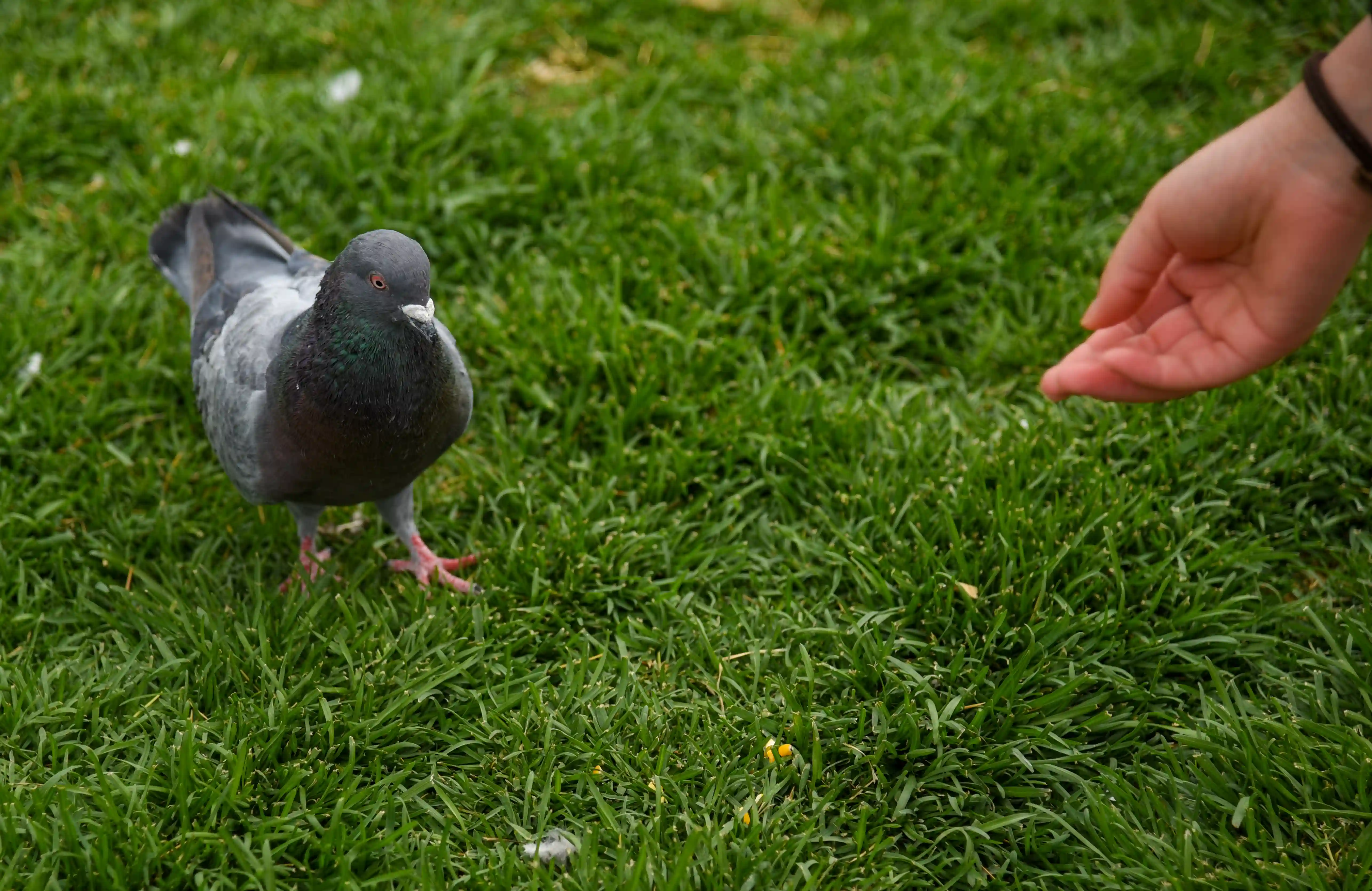 thumbnail of the cover of the post