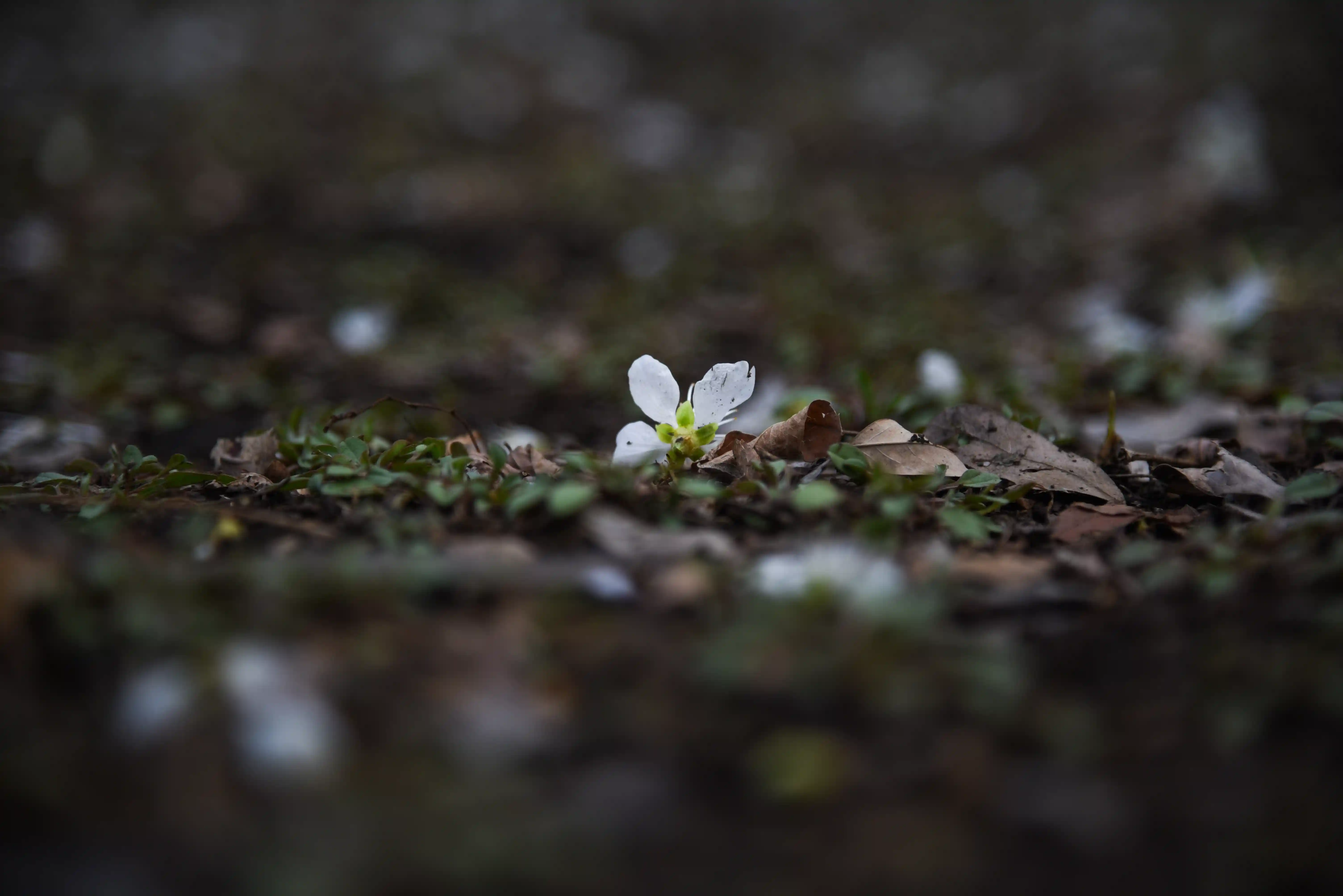 thumbnail of the cover of the post