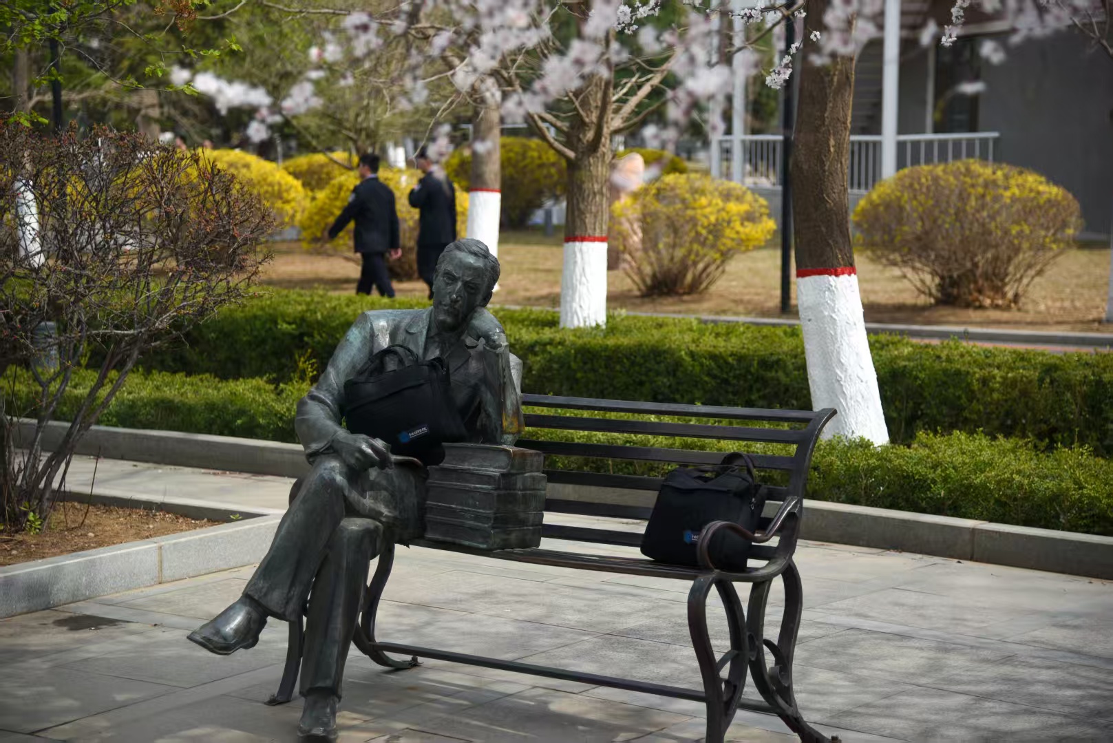 large picture of the cover