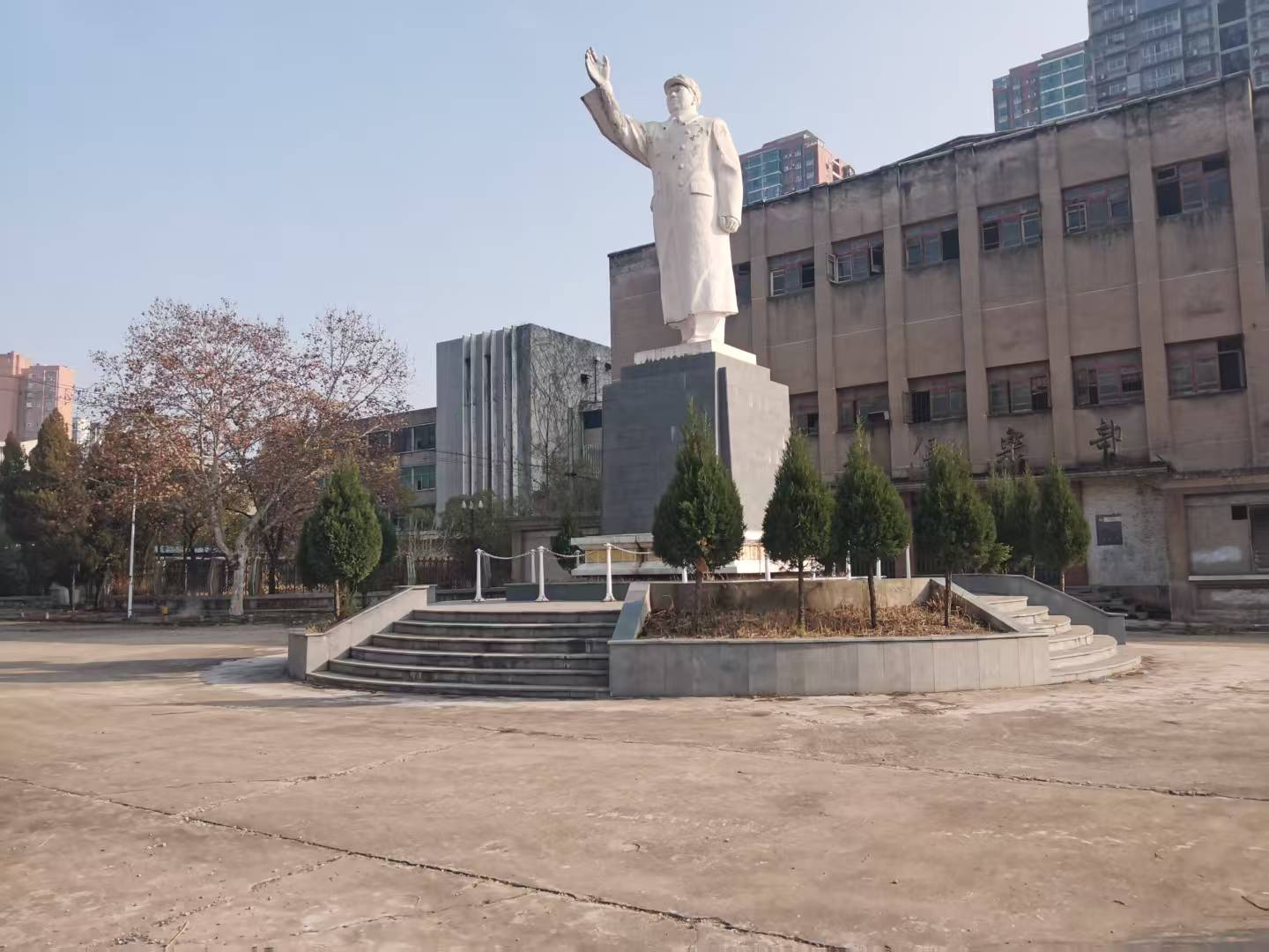 large picture of the cover